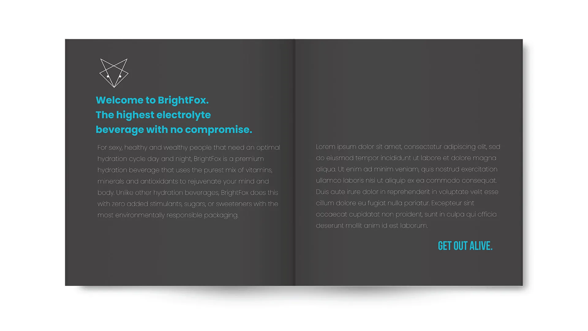 Open booklet with dark background featuring BrightFox logo and text highlighting a premium electrolyte beverage focused on hydration and natural ingredients.